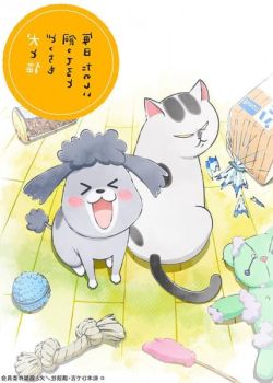 Inu to Neko Docchi mo Katteru to Mainichi Tanoshii